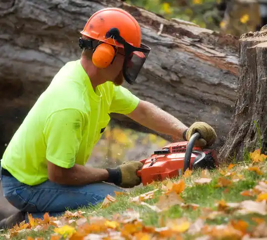 tree services Riverton